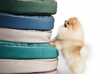 NEW-innovated, squashy and soft cushion beds for Your furry friend sweet dreams!