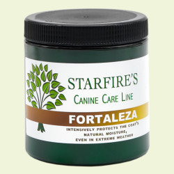 Fortaleza treatment