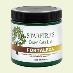 Fortaleza treatment