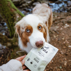 Pala Lamb Liver dog treats