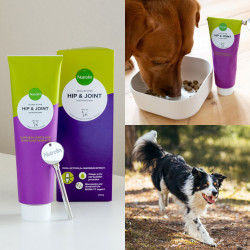 Nutrolin® Hip & Joint paste for dogs
