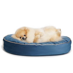 Soft & squashy Starfire's Luxury blue oval bed