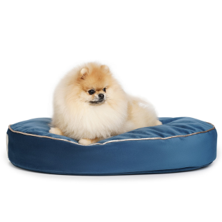 Starfire's Luxury blue oval bed for dogs | Soft & squashy safe filling
