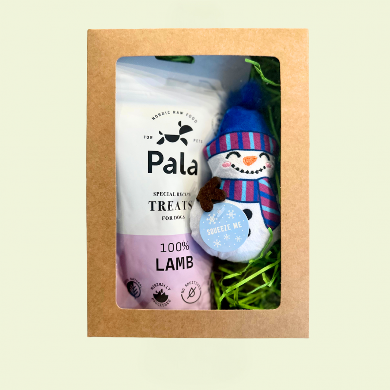 Christmas Set No. 10