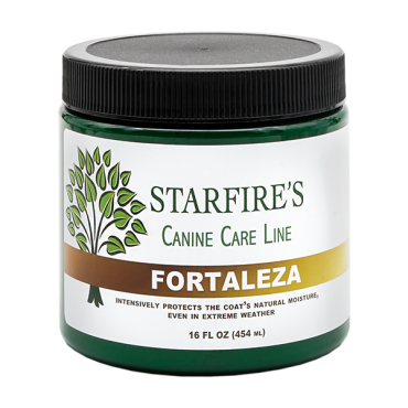 Fortaleza treatment