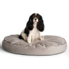 Soft & squashy Starfire's Luxury light beige oval bed