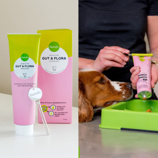 Nutrolin® Gut & Flora paste for dogs
