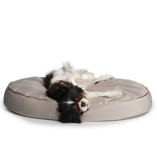 Starfire's Luxury beige oval bed for dogs |Soft & squashy safe filling