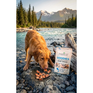 Pamico 100% Salmon fillet — Natural Freeze-Dried Treats