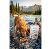 Pamico 100% Salmon fillet — Natural Freeze-Dried Treats