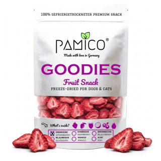 Pamico 100% Strawberries — Natural Freeze-Dried Treats