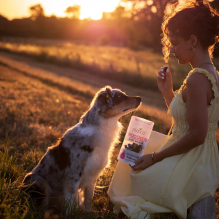 Pamico 100% Strawberries — Natural Freeze-Dried Treats