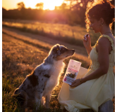 Pamico 100% Strawberries — Natural Freeze-Dried Treats