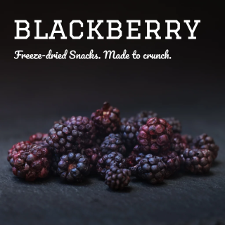 Pamico 100% Blackberry — Natural Freeze-Dried Treats