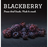 Pamico 100% Blackberry — Natural Freeze-Dried Treats