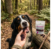 Pamico 100% Blackberry — Natural Freeze-Dried Treats