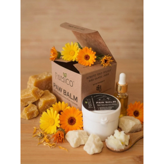PAMICO Paw Balm for Dogs – Natural paw protection with beeswax & shea butte