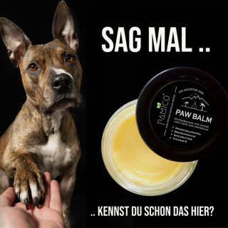 PAMICO Paw Balm for Dogs – Natural paw protection with beeswax & shea butte
