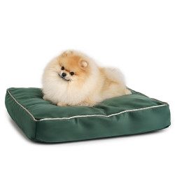 Soft & squashy Starfire's Luxury dark green rectangular bed