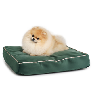 Soft & squashy Starfire's Luxury dark green rectangular bed for dogs