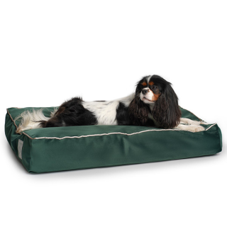 Soft & squashy Starfire's Luxury dark green rectangular bed for dogs