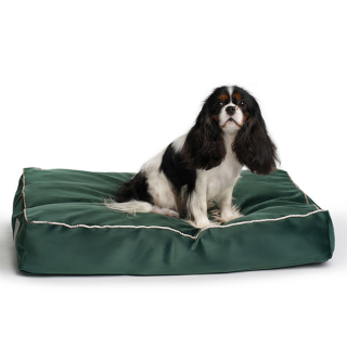 Soft & squashy Starfire's Luxury dark green rectangular bed for dogs
