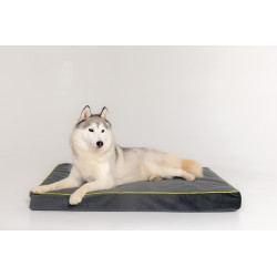 Starfire's Luxury grey rectangular cushion bed