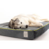 Starfire's Luxury grey rectangular cushion bed